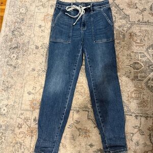 Judy Blue jogger jeans